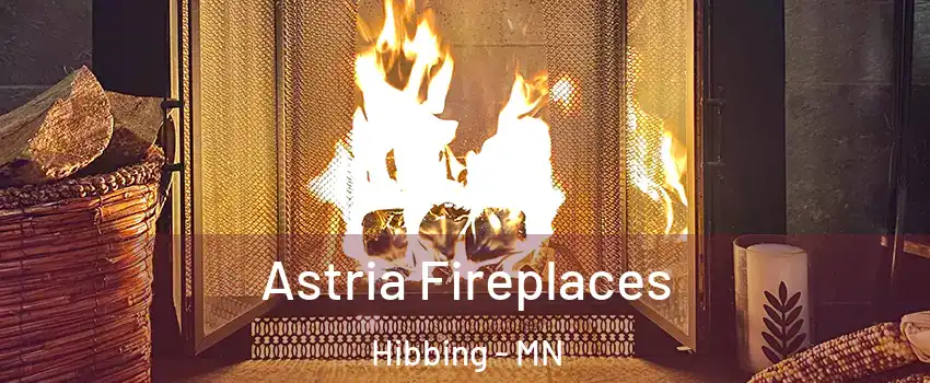  Astria Fireplaces Hibbing - MN