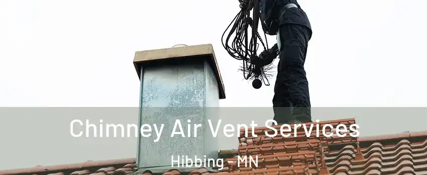 Chimney Air Vent Services Hibbing - MN