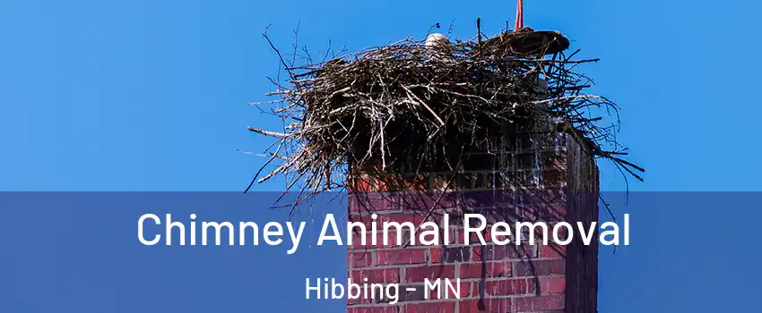  Chimney Animal Removal Hibbing - MN