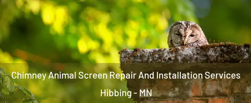 Chimney Animal Screen Repair And Installation Services Hibbing - MN