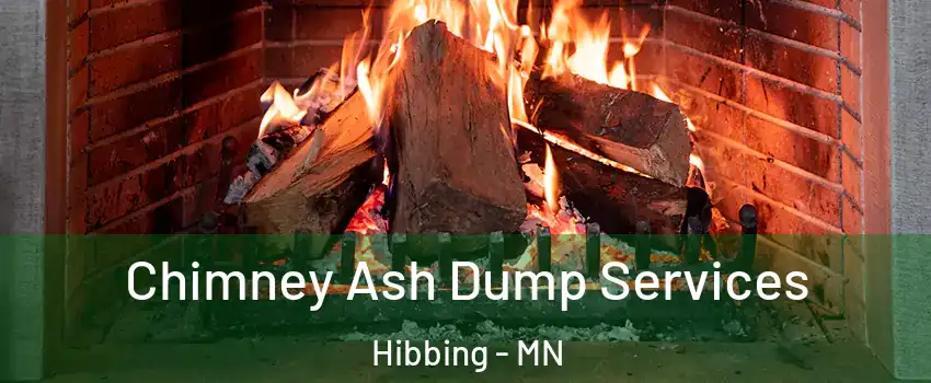  Chimney Ash Dump Services Hibbing - MN