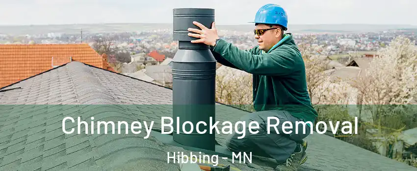 Chimney Blockage Removal Hibbing - MN