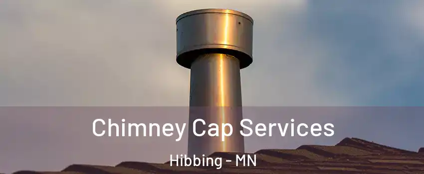  Chimney Cap Services Hibbing - MN
