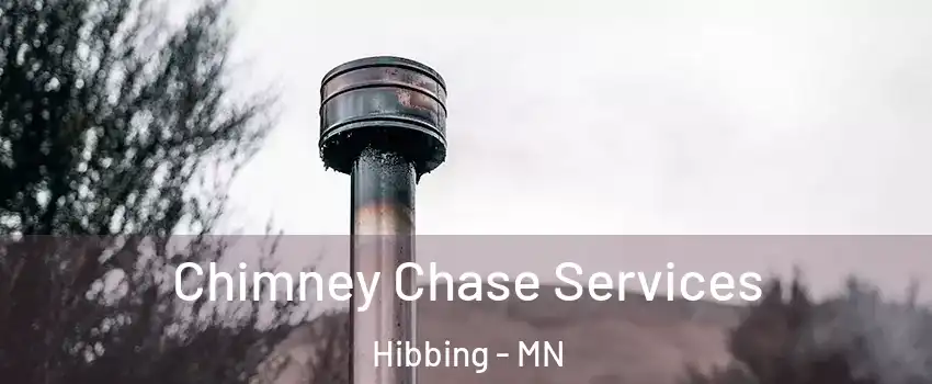 Chimney Chase Services Hibbing - MN
