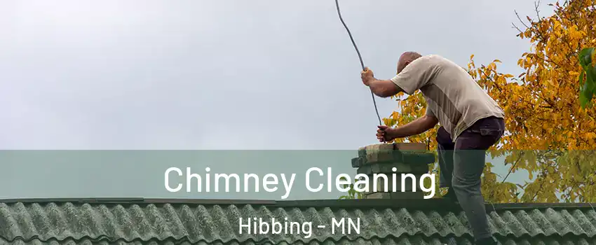 Chimney Cleaning Hibbing - MN