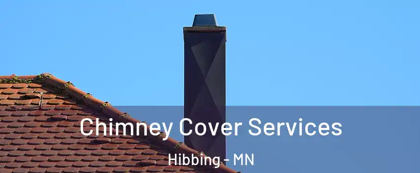  Chimney Cover Services Hibbing - MN