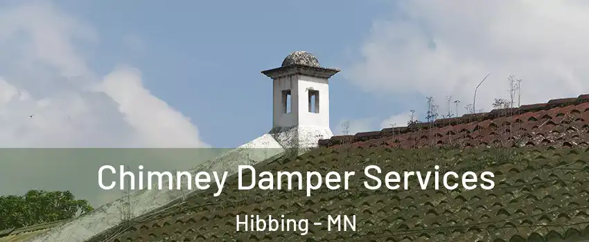  Chimney Damper Services Hibbing - MN