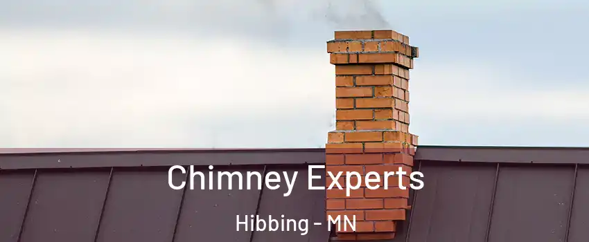 Chimney Experts Hibbing - MN