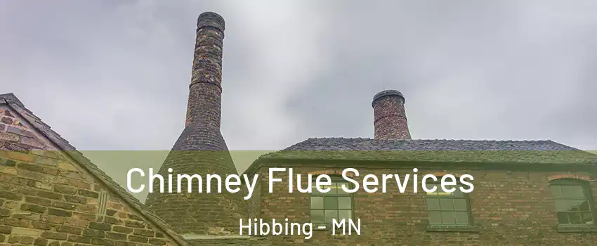  Chimney Flue Services Hibbing - MN