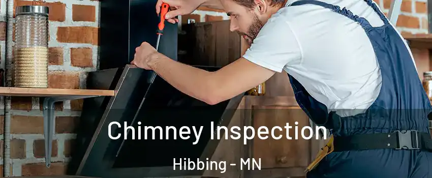 Chimney Inspection Hibbing - MN