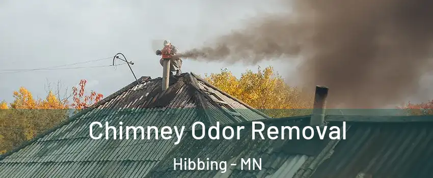 Chimney Odor Removal Hibbing - MN
