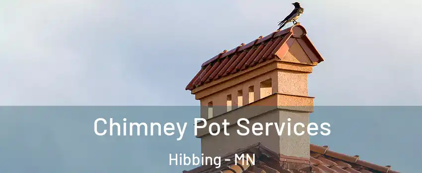 Chimney Pot Services Hibbing - MN