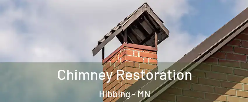  Chimney Restoration Hibbing - MN