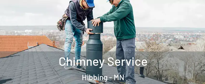  Chimney Service Hibbing - MN