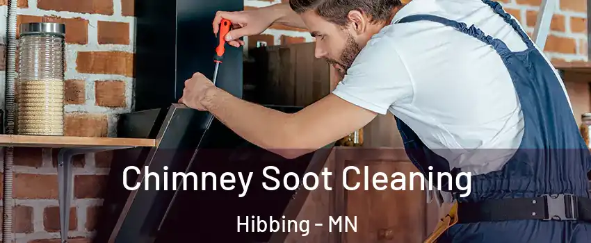  Chimney Soot Cleaning Hibbing - MN
