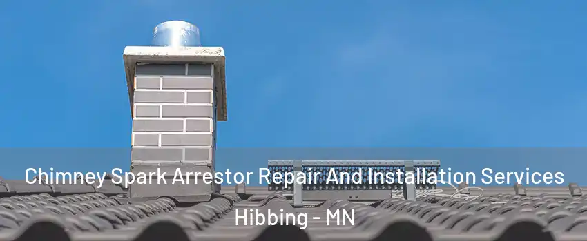  Chimney Spark Arrestor Repair And Installation Services Hibbing - MN