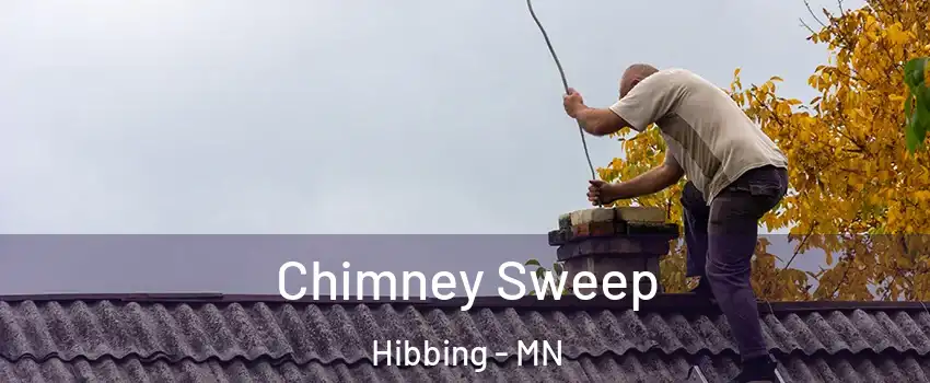 Chimney Sweep Hibbing - MN