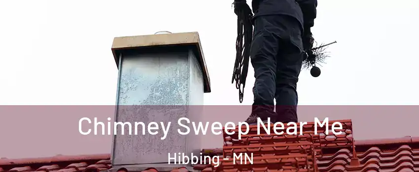  Chimney Sweep Near Me Hibbing - MN