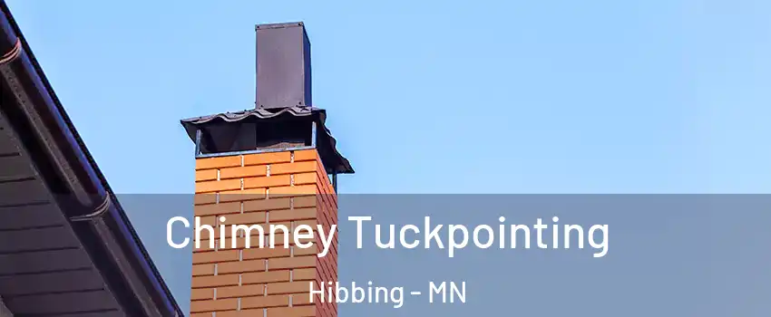  Chimney Tuckpointing Hibbing - MN