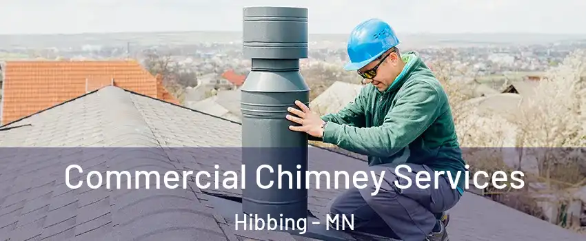  Commercial Chimney Services Hibbing - MN