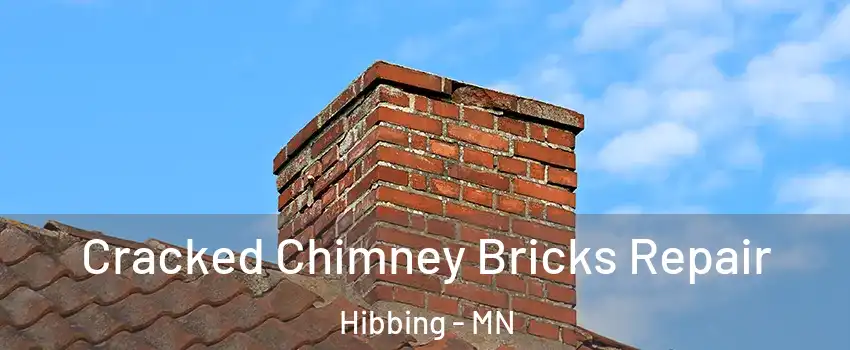  Cracked Chimney Bricks Repair Hibbing - MN