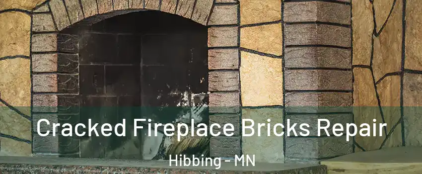  Cracked Fireplace Bricks Repair Hibbing - MN