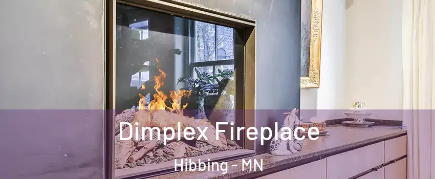 Dimplex Fireplace Hibbing - MN