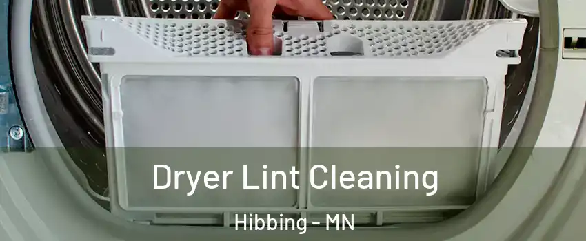 Dryer Lint Cleaning Hibbing - MN