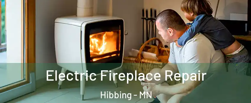  Electric Fireplace Repair Hibbing - MN