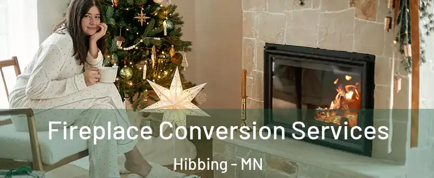  Fireplace Conversion Services Hibbing - MN
