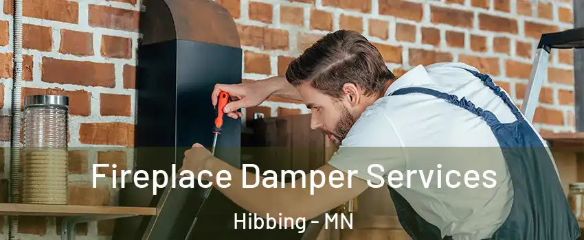 Fireplace Damper Services Hibbing - MN