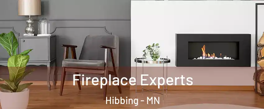 Fireplace Experts Hibbing - MN