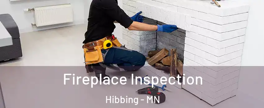  Fireplace Inspection Hibbing - MN