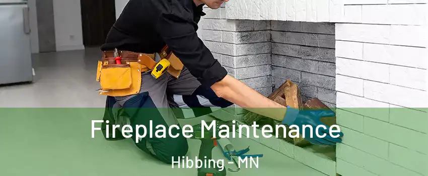 Fireplace Maintenance Hibbing - MN