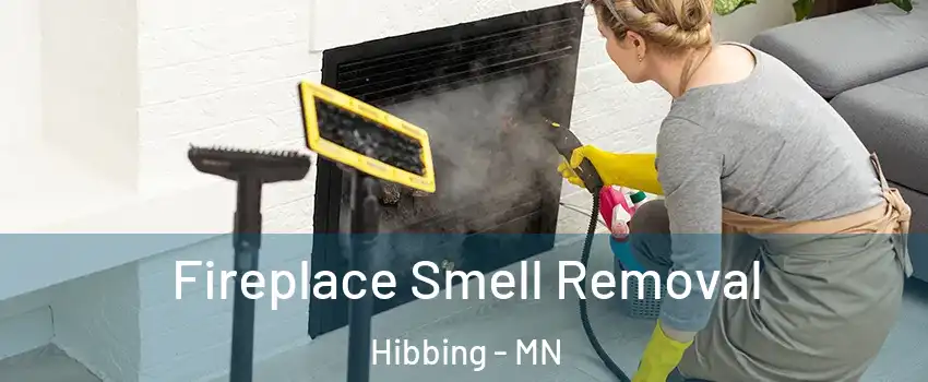 Fireplace Smell Removal Hibbing - MN