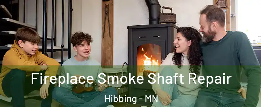  Fireplace Smoke Shaft Repair Hibbing - MN