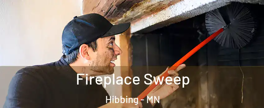 Fireplace Sweep Hibbing - MN