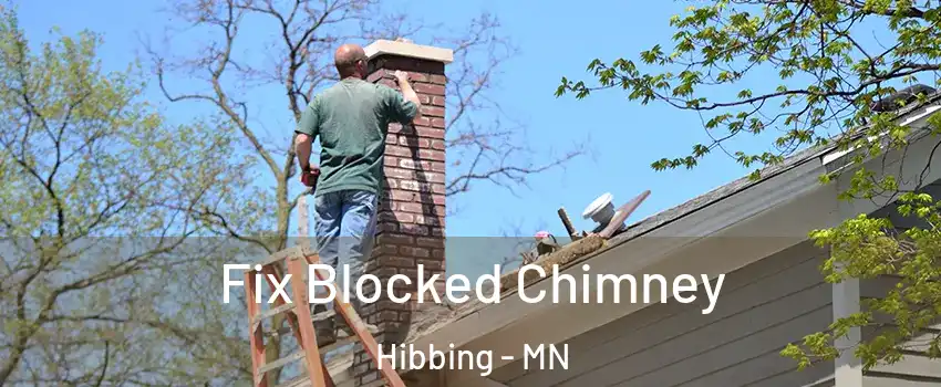  Fix Blocked Chimney Hibbing - MN