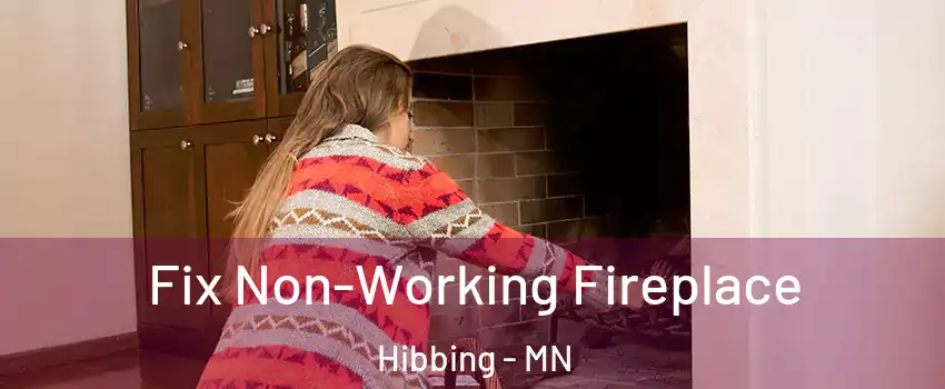  Fix Non-Working Fireplace Hibbing - MN