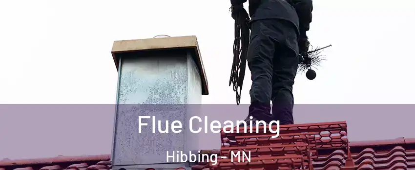  Flue Cleaning Hibbing - MN