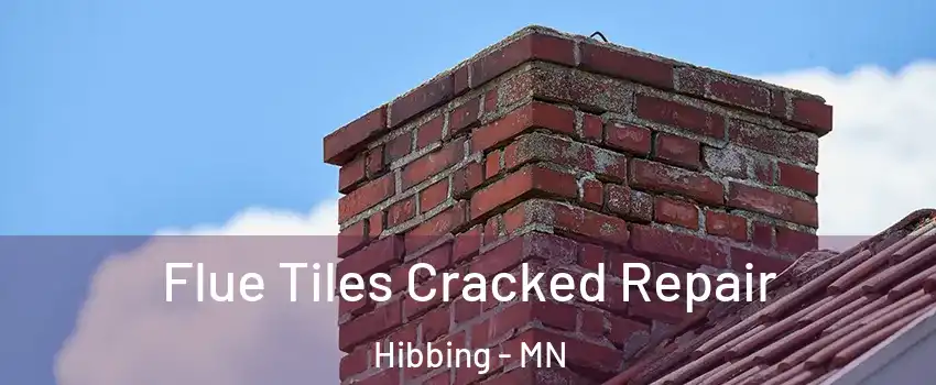 Flue Tiles Cracked Repair Hibbing - MN