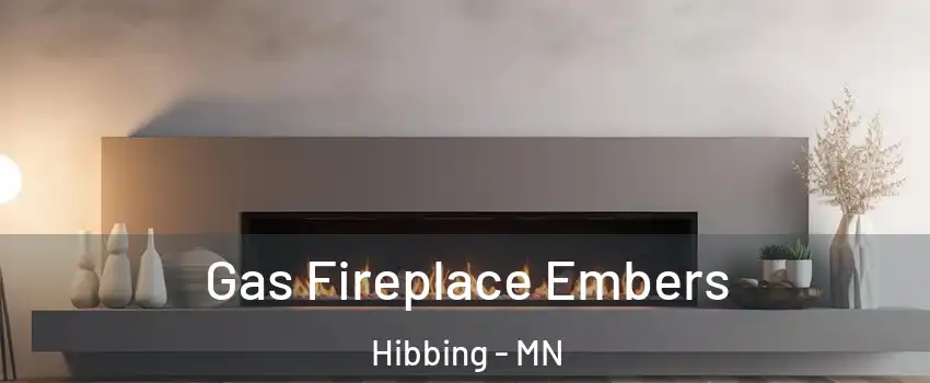  Gas Fireplace Embers Hibbing - MN