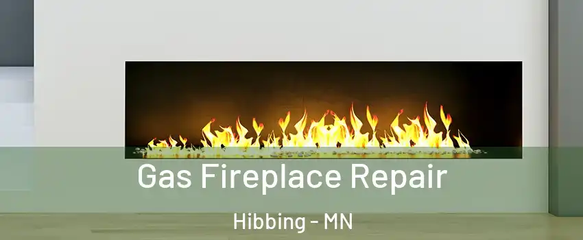  Gas Fireplace Repair Hibbing - MN