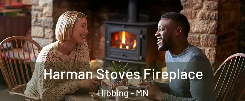  Harman Stoves Fireplace Hibbing - MN