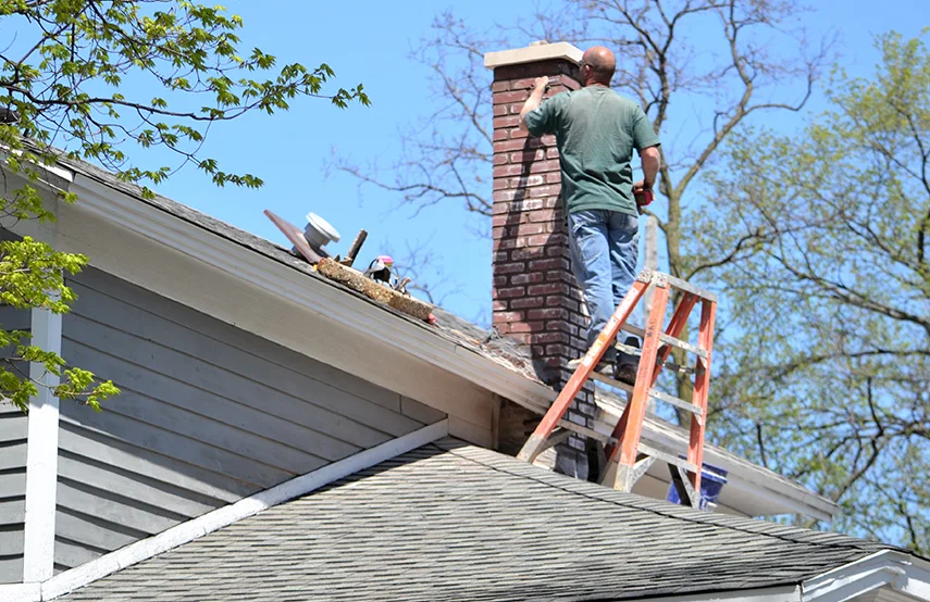 Chimney & Fireplace Inspections Services in Hibbing, MN
