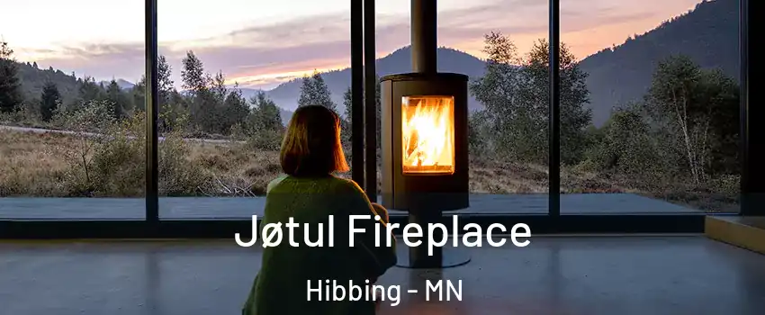 Jøtul Fireplace Hibbing - MN