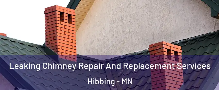  Leaking Chimney Repair And Replacement Services Hibbing - MN