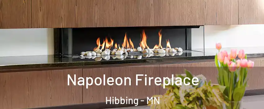 Napoleon Fireplace Hibbing - MN