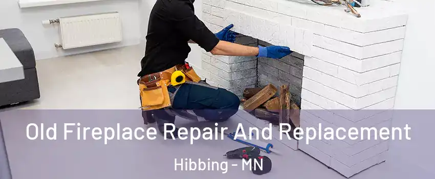  Old Fireplace Repair And Replacement Hibbing - MN
