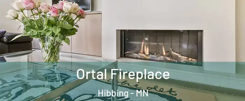 Ortal Fireplace Hibbing - MN
